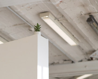 Image-Acte n°17: « Place a houseplant »